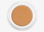 Derma color concealer (4g)