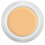 Derma color concealer (4g)