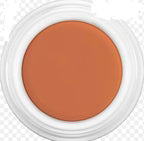 Derma color concealer (4g)