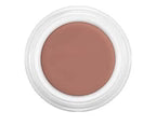Derma color concealer (4g)