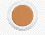 Derma color concealer (4g)