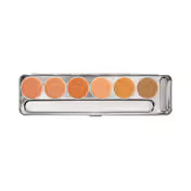 Derma color palette (20g)