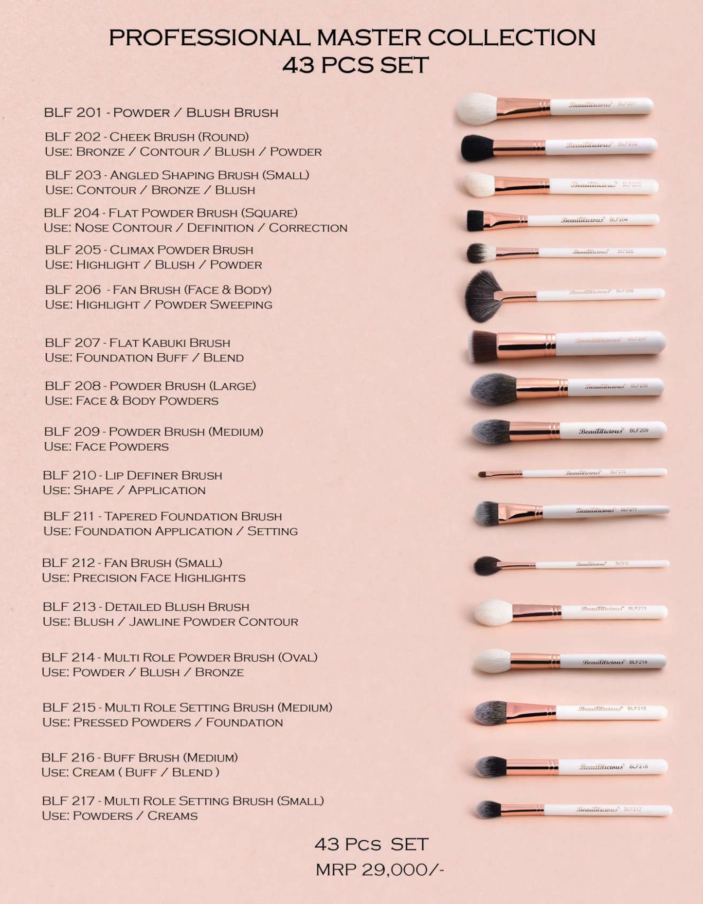 Professional Master Collection (43 Pcs. Set)