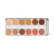 Derma color palette (40g)