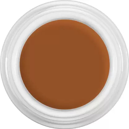 Derma color concealer (4g)