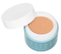 Derma color palette (40g)